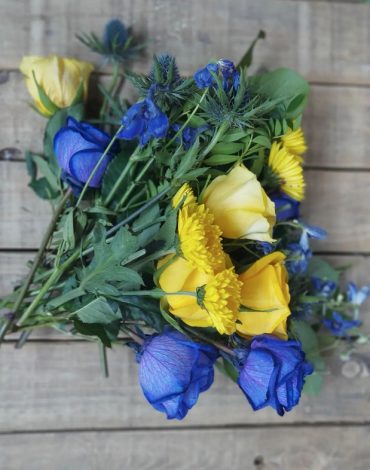 Blue roses